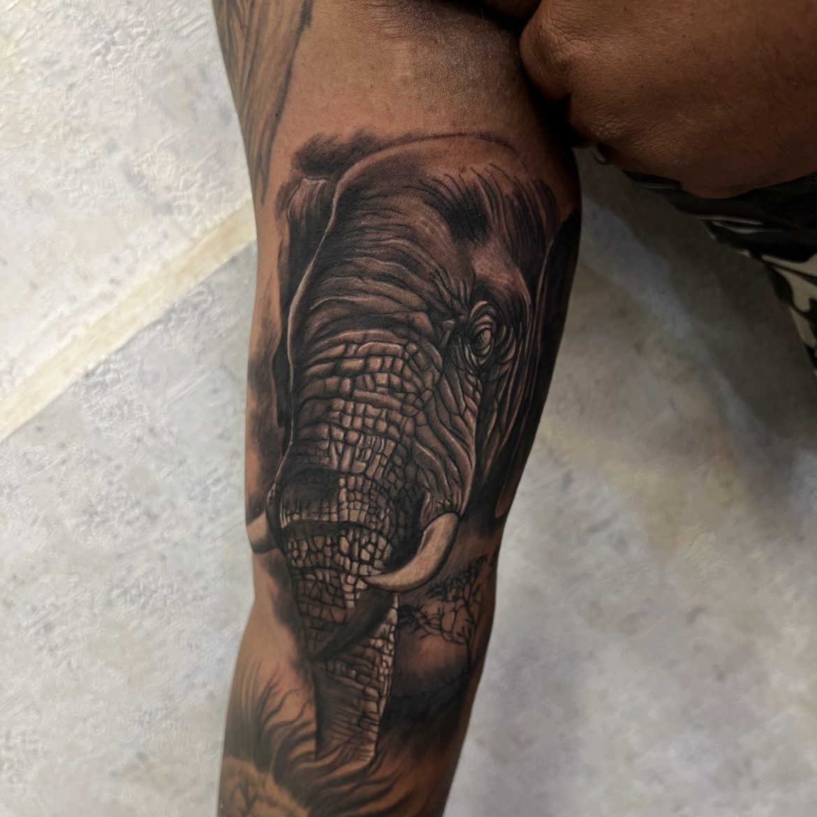 51 Cute and Impressive Elephant Tattoo Ideas-tiepthilienket.edu.vn