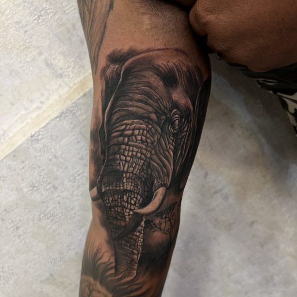 Elephant tattoo by Kamil Mokot | Photo 21493